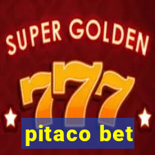 pitaco bet